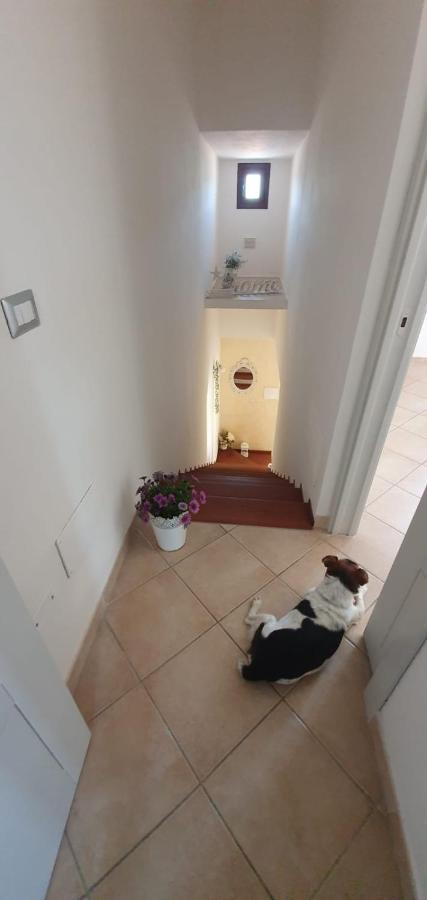 B&B Villa Orchidea Olbia Bagian luar foto